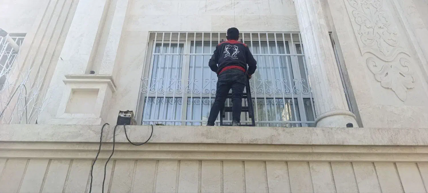 حفاظ روی دیوار شاخگوزنی.بوته خاری نرده پنجره در|خدمات پیشه و مهارت|مشهد, امیریه|دیوار