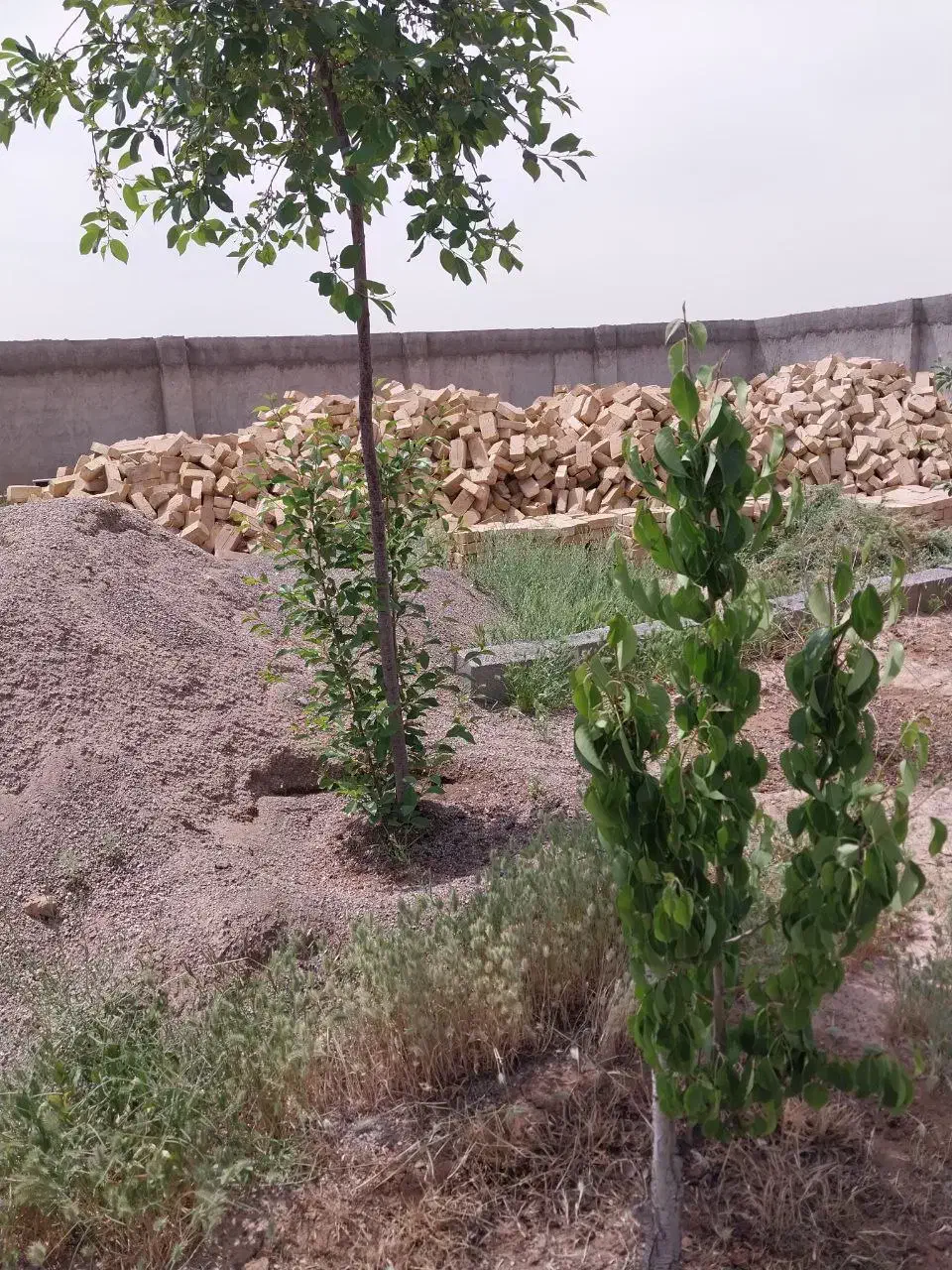 فروش زمین فوری زیر قیمت|فروش زمین و ملک کلنگی|مشهد, درزآب|دیوار