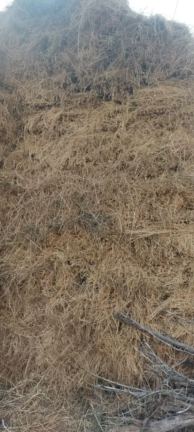 یونجه|لوازم جانبی حیوانات|مشگین شهر, |دیوار