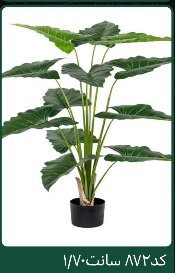 گل و درختچه مصنوعی خارجی|گل مصنوعی|کنگاور, |دیوار