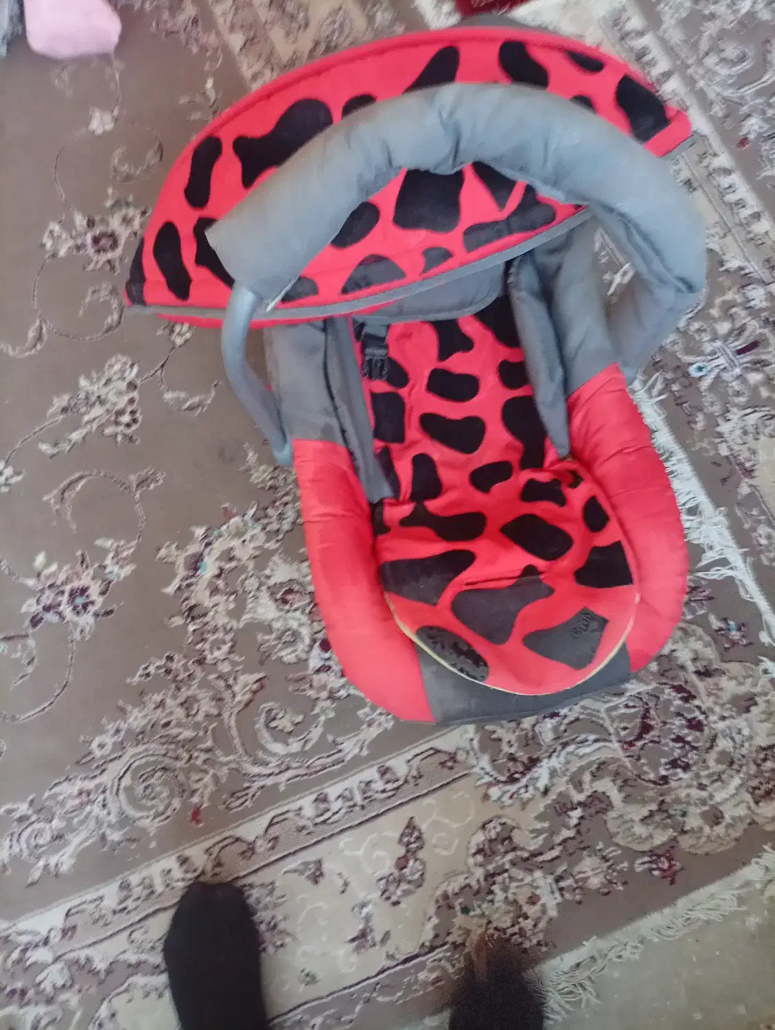 نو هسته|کالسکه و لوازم جانبی|شاهرود, |دیوار