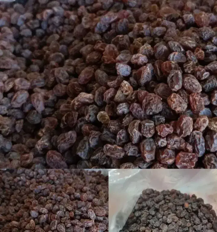 کشمش بیدانه آفتابی پاک شده|خوردنی و آشامیدنی|دشتابی, |دیوار