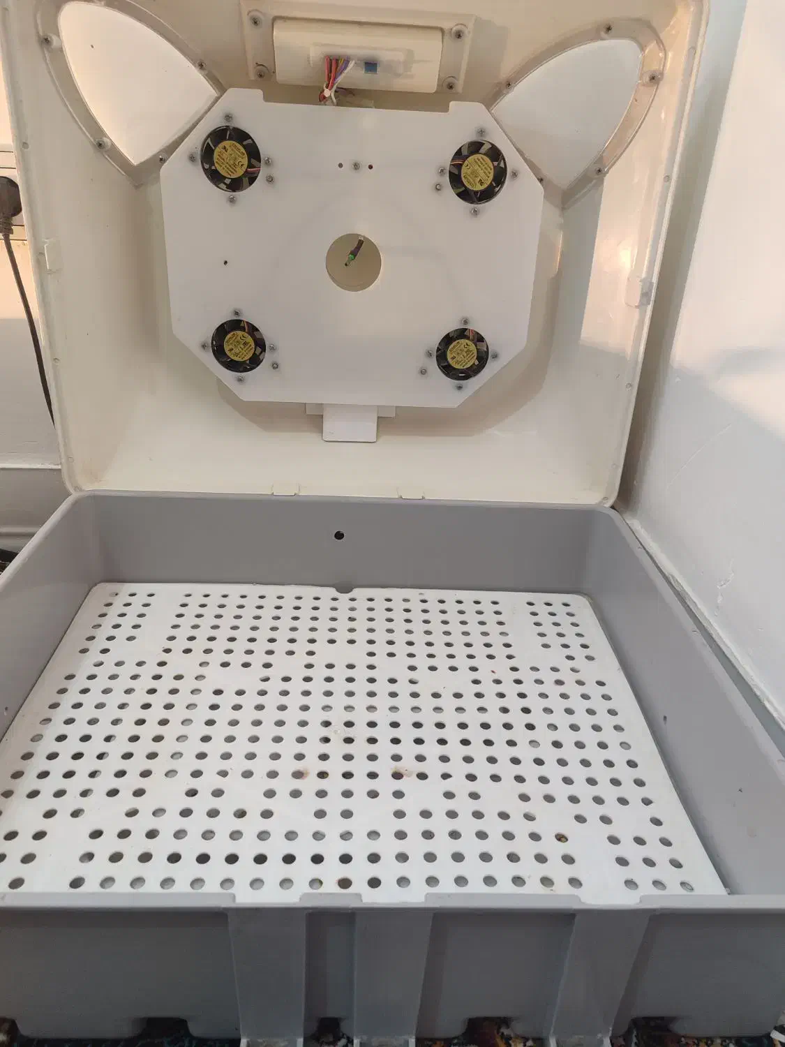 دستگاه جوجه کشی|ماشین‌آلات صنعتی|اصفهان, طاحونه|دیوار