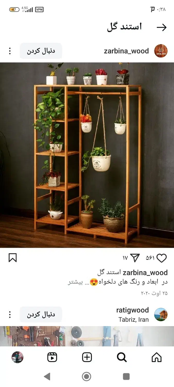 استند گل|گل و گیاه طبیعی|دهدشت, |دیوار