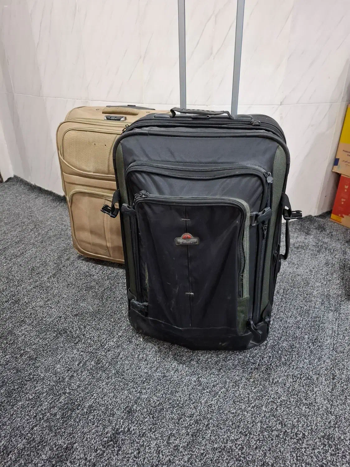 چمدان|کیف، کفش، کمربند|بندر گناوه, |دیوار