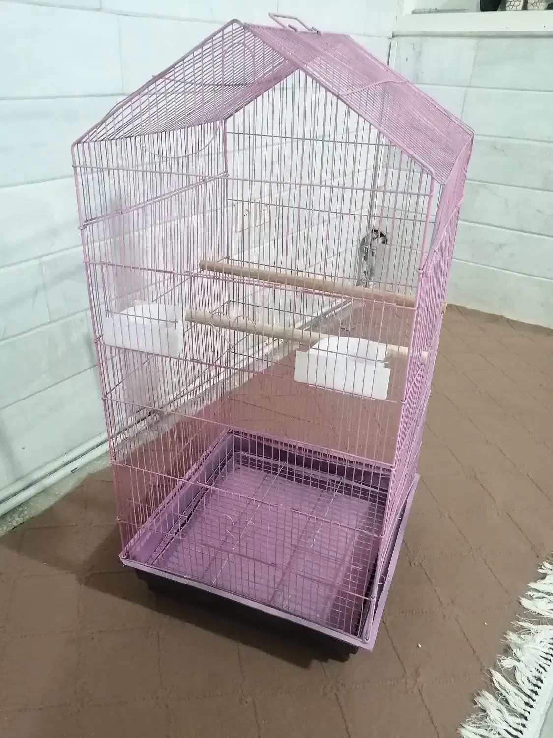 قفس بزرگ و تمییز قیمت عالی|لوازم جانبی حیوانات|قم, صفاشهر|دیوار