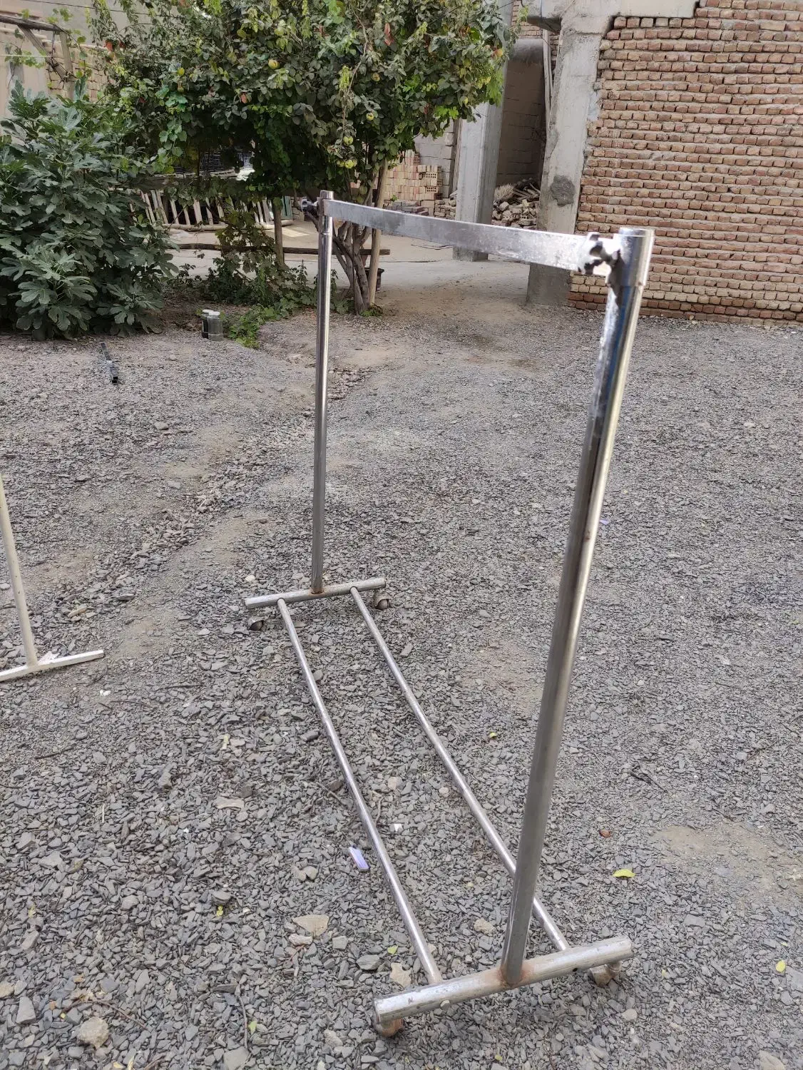 فروش رگال و شاخه تکی|فروشگاه و مغازه|چهاربرج, |دیوار