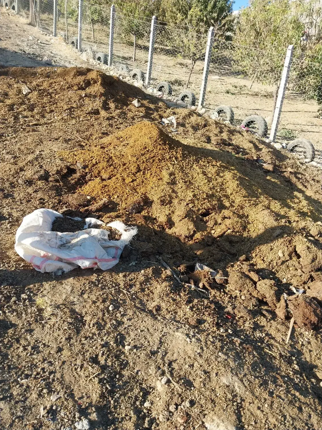 کود سیاه|خدمات باغبانی و درختکاری|کوهدشت, |دیوار