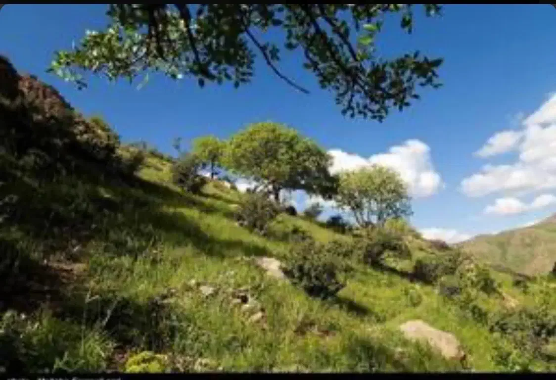 سفر|تور و چارتر|مشهد, الهیه|دیوار