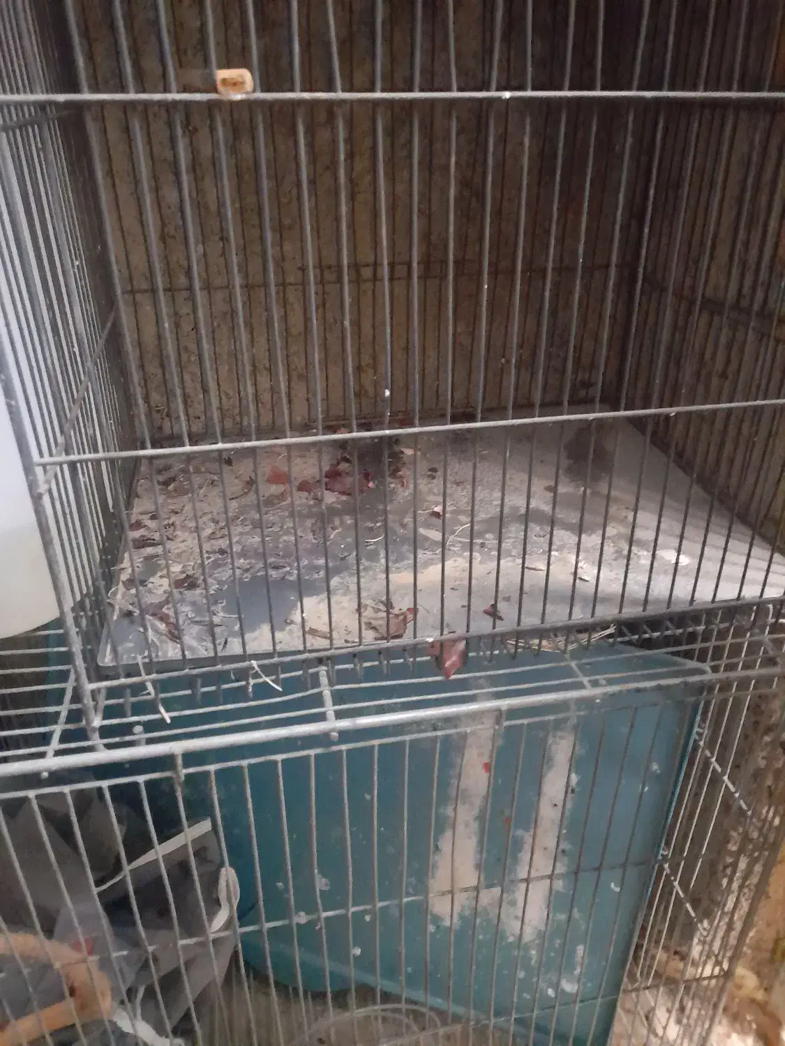 قفس پرنده|لوازم جانبی حیوانات|گلپایگان, |دیوار