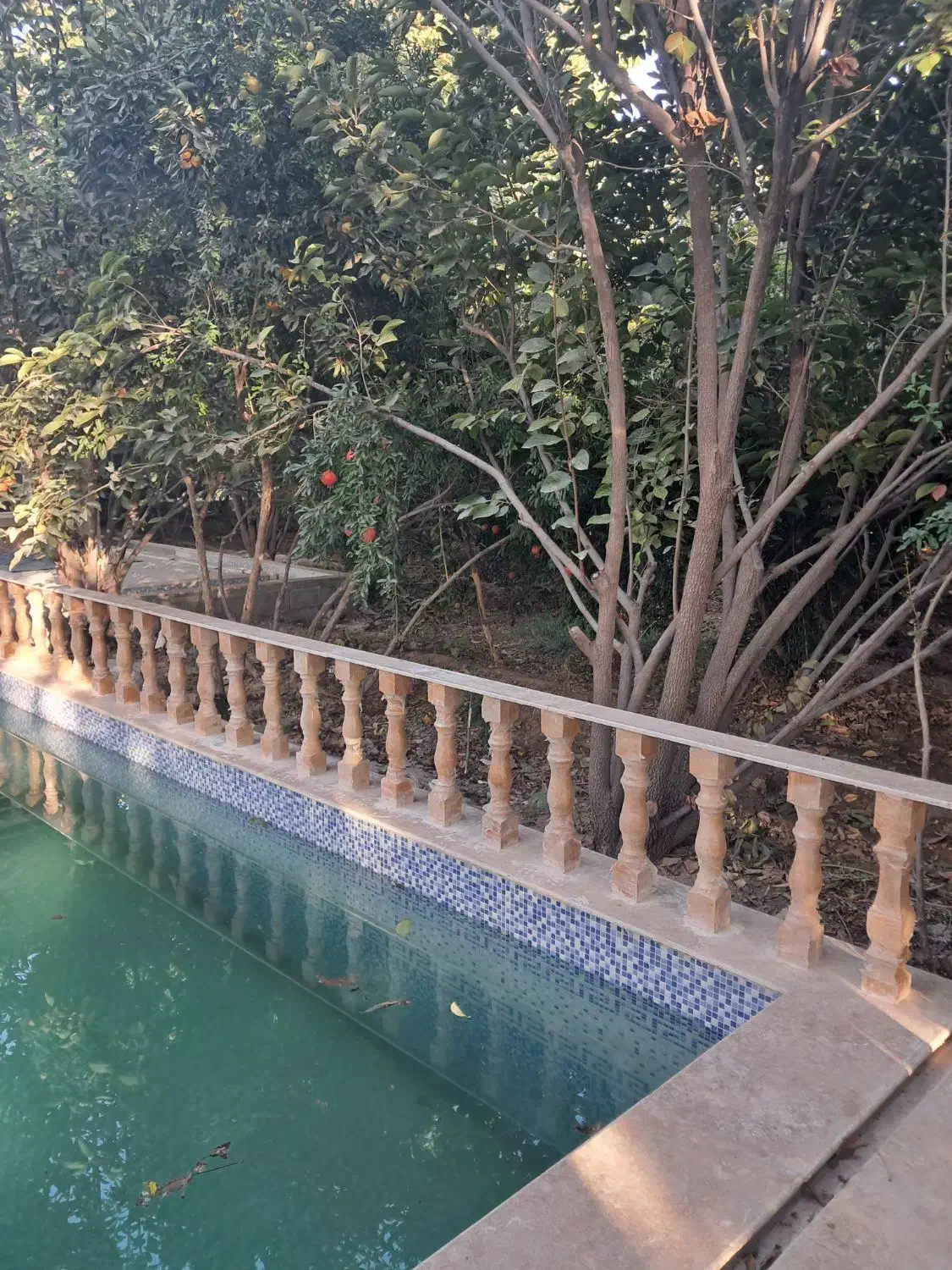 فروش خونه ویلا فاروق ۱۳۰۰متری|فروش دفتر صنعتی، کشاورزی، تجاری|سیدان, |دیوار