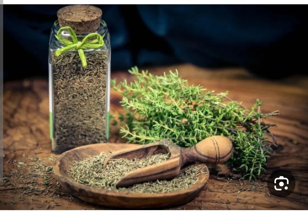 گیاهی|خوردنی و آشامیدنی|نیشابور, شریعتی|دیوار