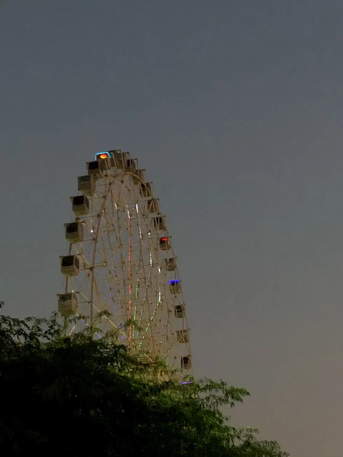 ادمین هستم.|خدمات رایانه‌ای و موبایل|بوشهر, |دیوار