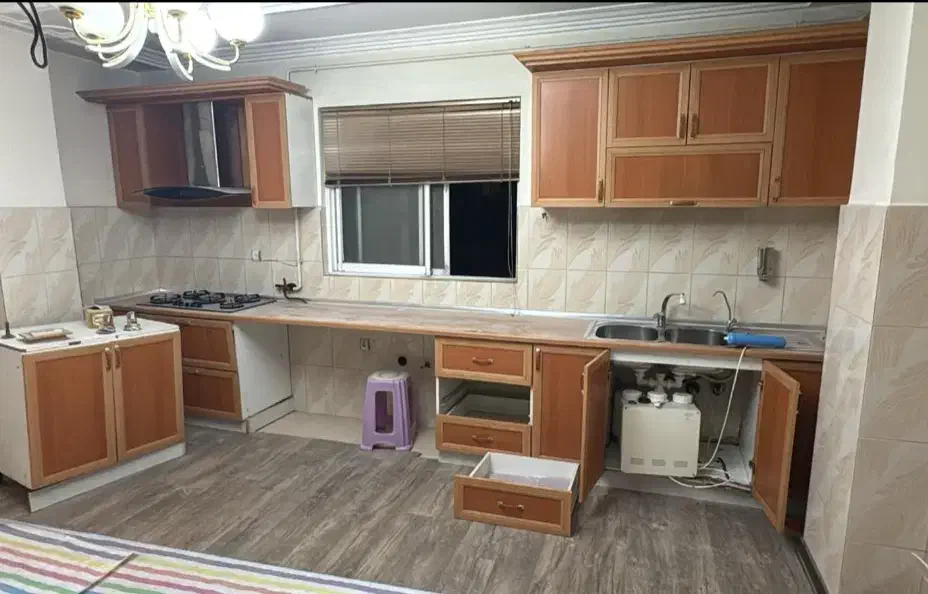 اپن|حراج|رشت, کاکتوس|دیوار