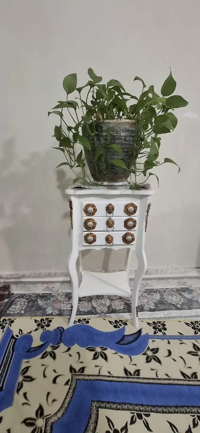 زیر تلفنی و گلدان طبیعی|میز تلفن|کرمانشاه, |دیوار