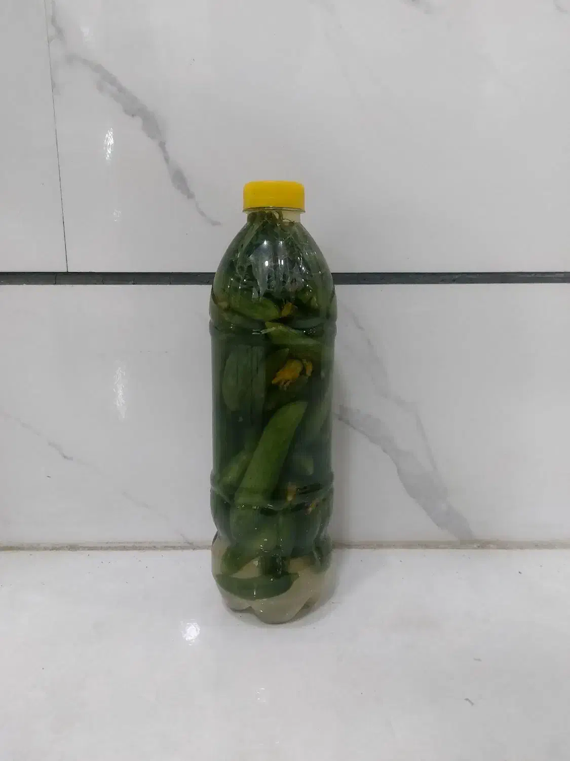 خیار شور بطری  تازه و خوش تعم|خوردنی و آشامیدنی|دهگلان, |دیوار