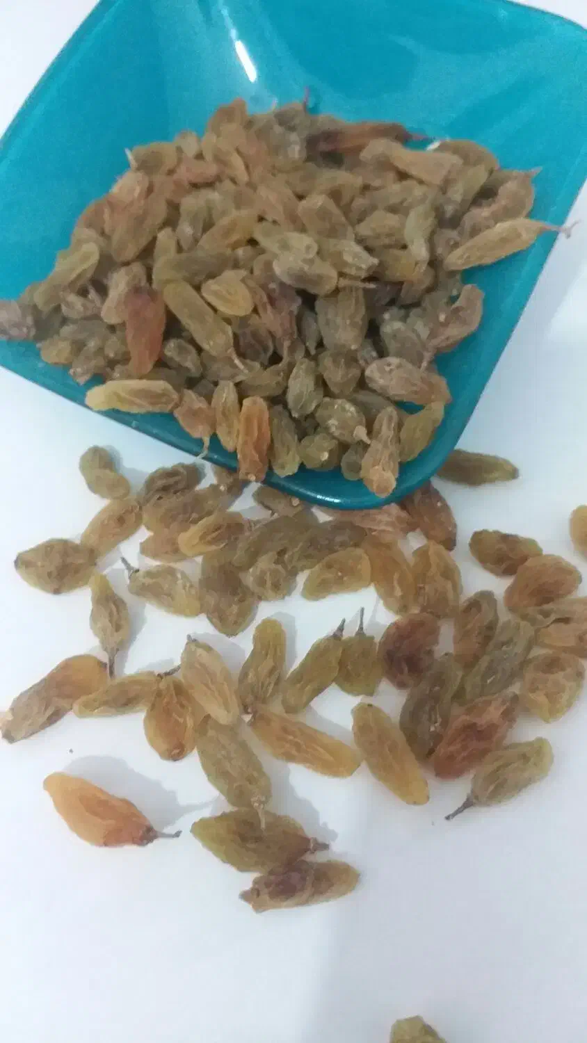 کشمش،سبز و آفتابی|خوردنی و آشامیدنی|کاشمر, |دیوار