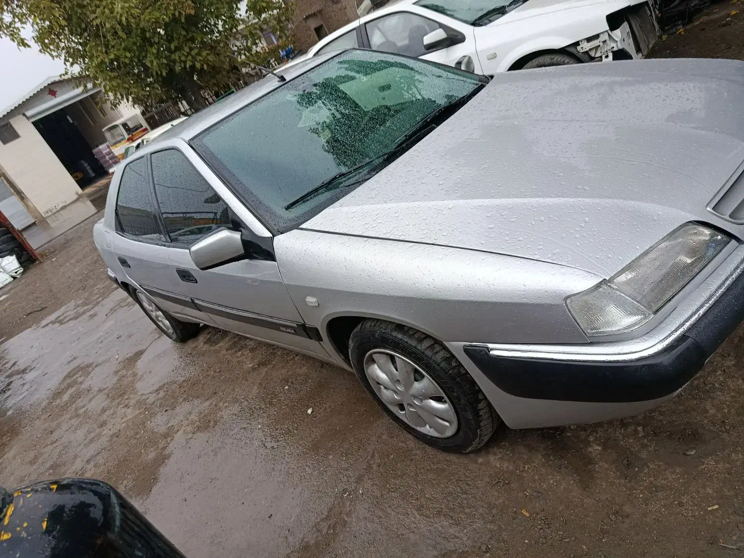 زانتیا سوپر لوکس مدل ۸۱ عتیقه|خودرو سواری و وانت|خوی, |دیوار