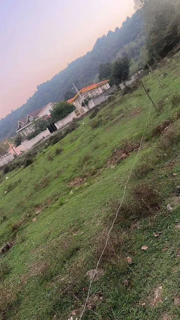 زمین۳۰۰متری/خوش قواره/ویرمونی|فروش زمین و ملک کلنگی|آستارا, |دیوار