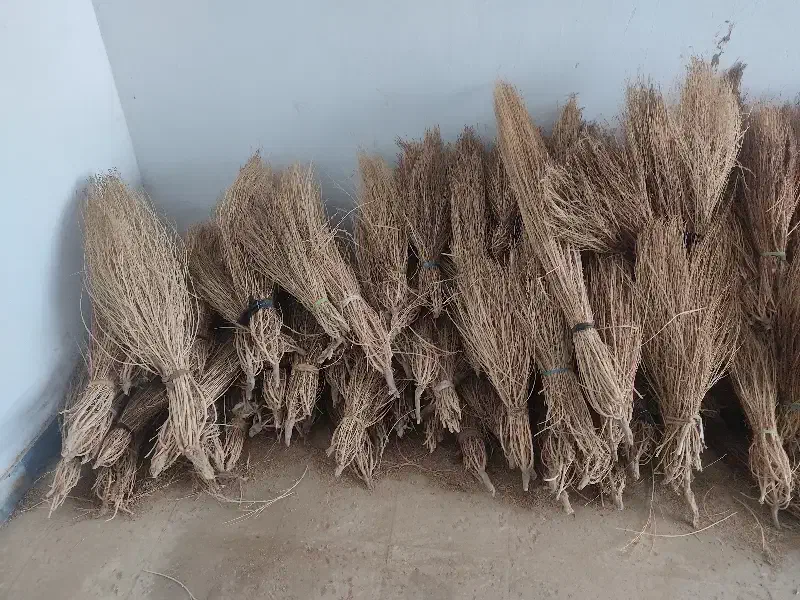 ج ا ر و قیمت مناسب|لوازم نظافت|نیشابور, بنیاد شهید|دیوار