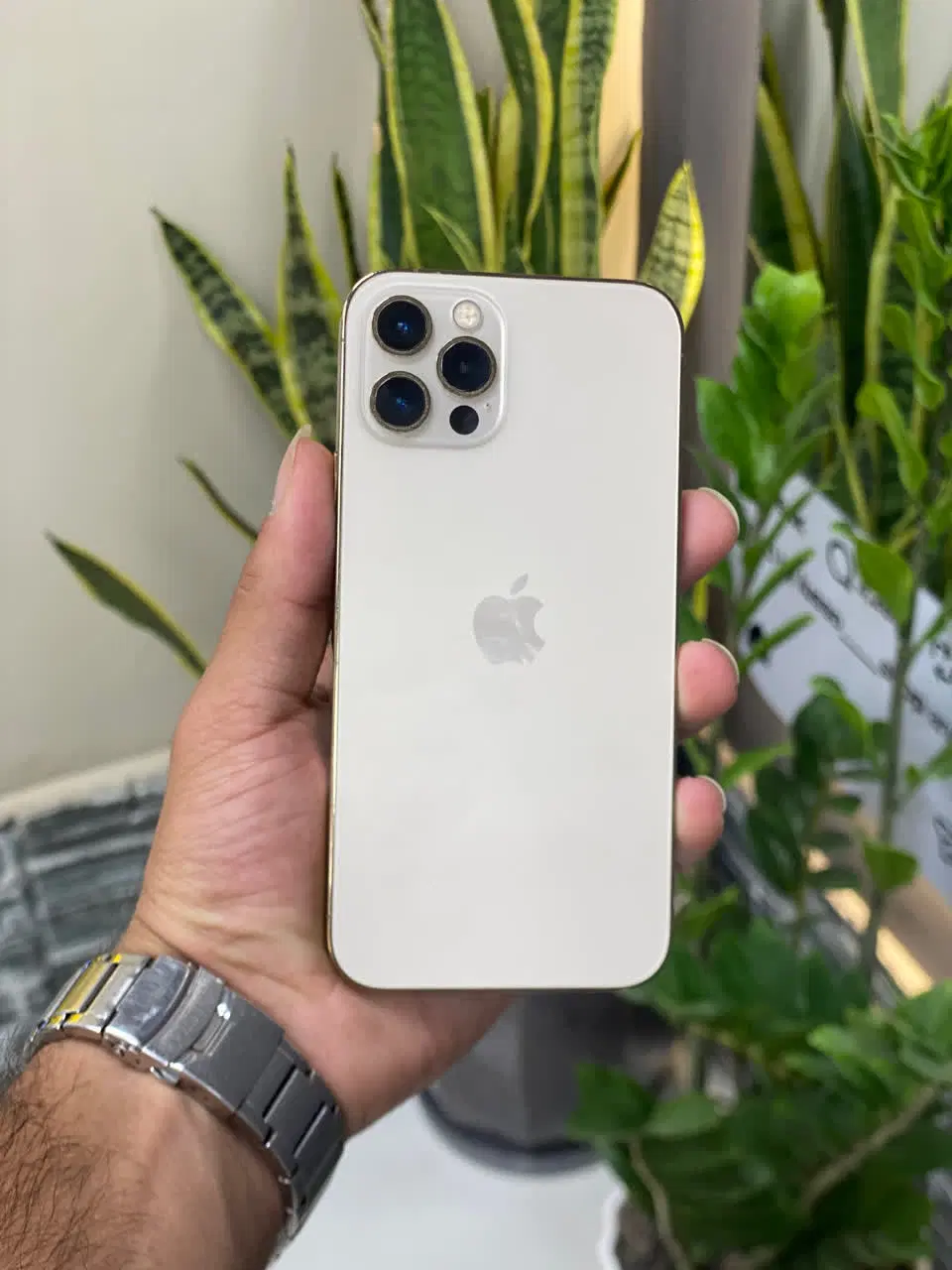 12pro|موبایل|بیرجند, |دیوار