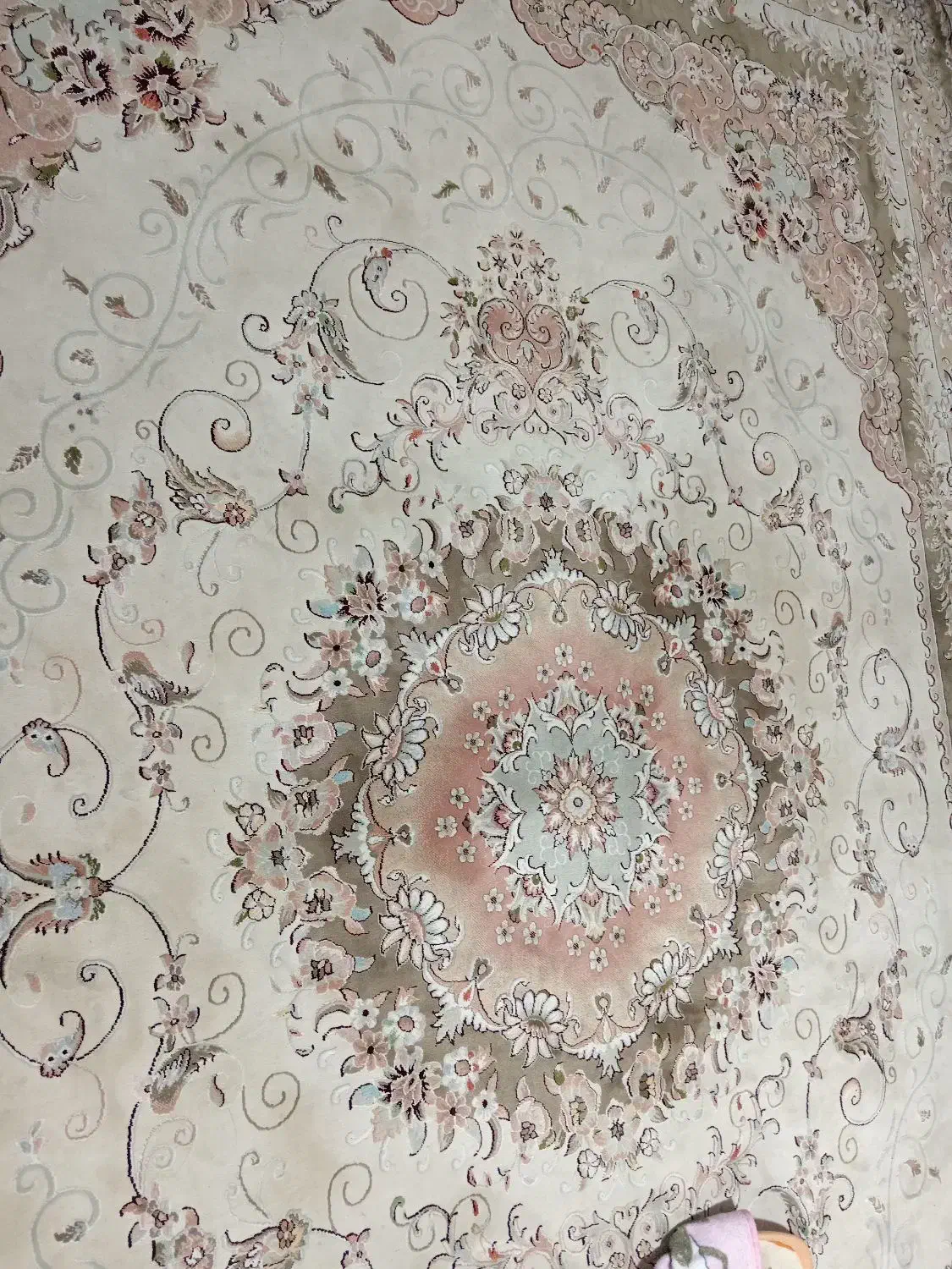 قالی 12متری گل برجسته درحدنو|فرش|تربت جام, شاهد|دیوار