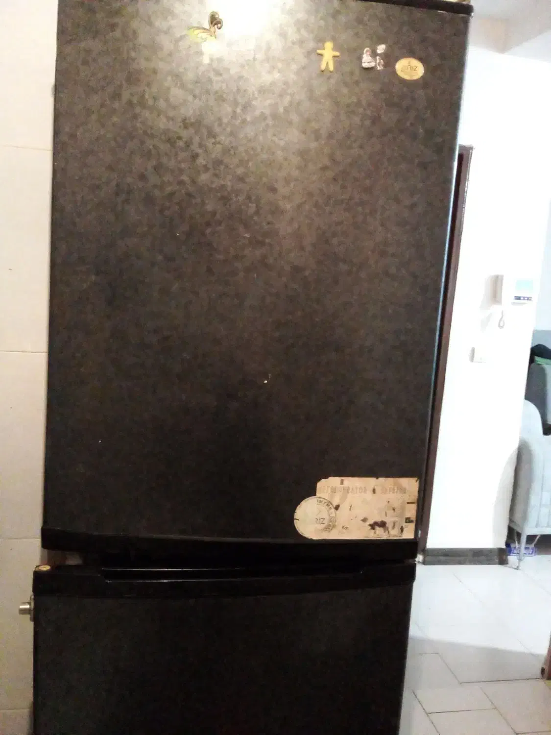 یخچال|یخچال و فریزر|بندرعباس, |دیوار