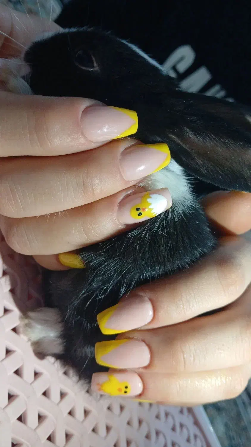 خدمات ناخن|خدمات آرایشگری و زیبایی|ملارد, |دیوار