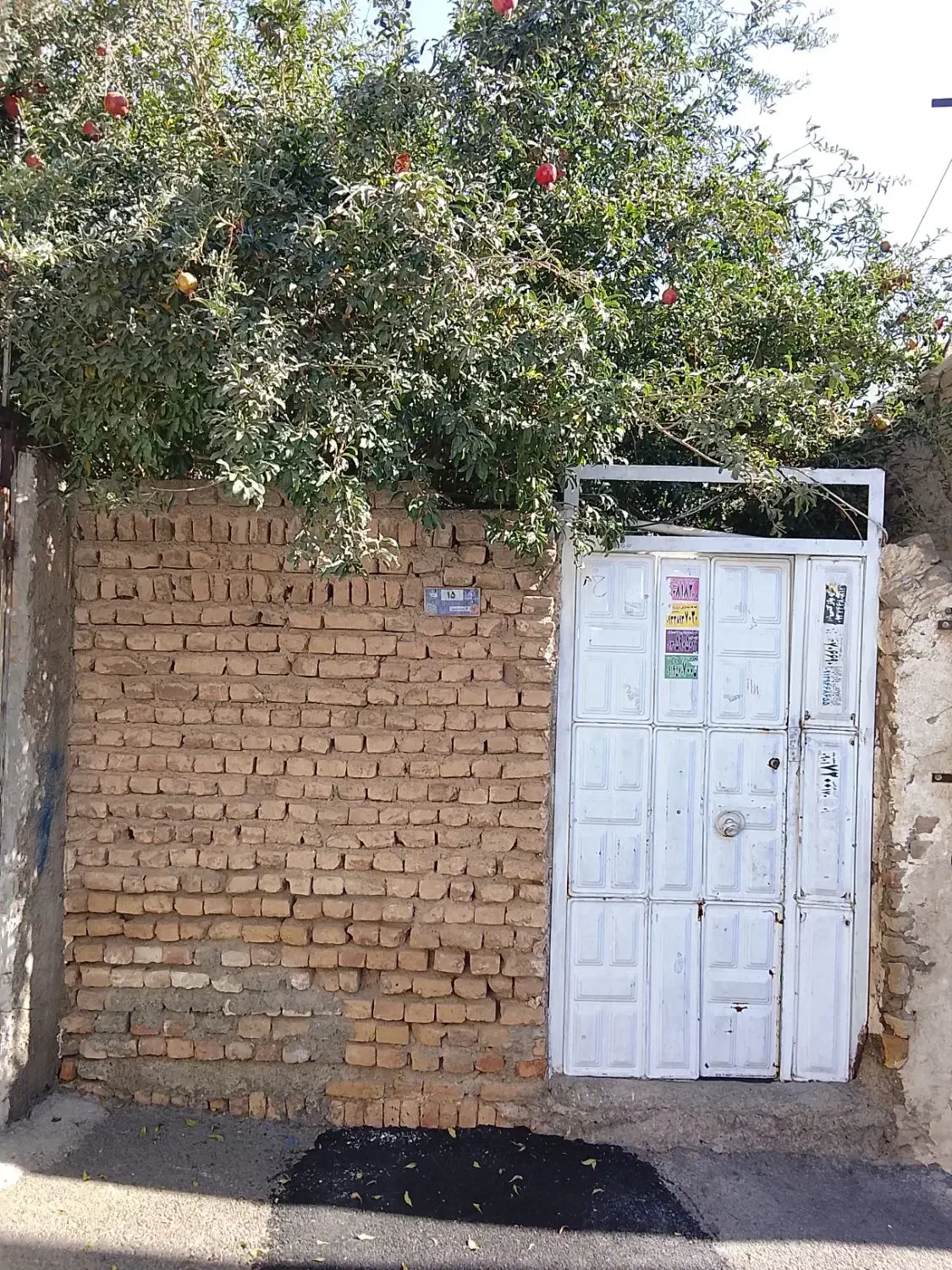 خونه|فروش خانه و ویلا|قرچک, صالح آباد|دیوار