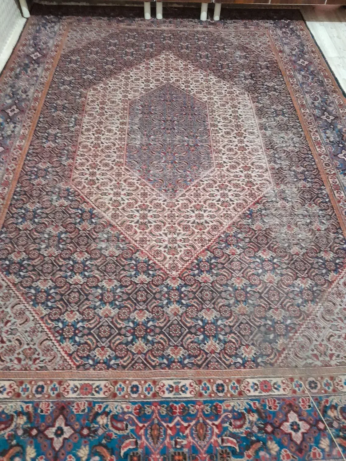 دوتا عدد قالی دستباف قدیمی|فرش|زاهدان, |دیوار