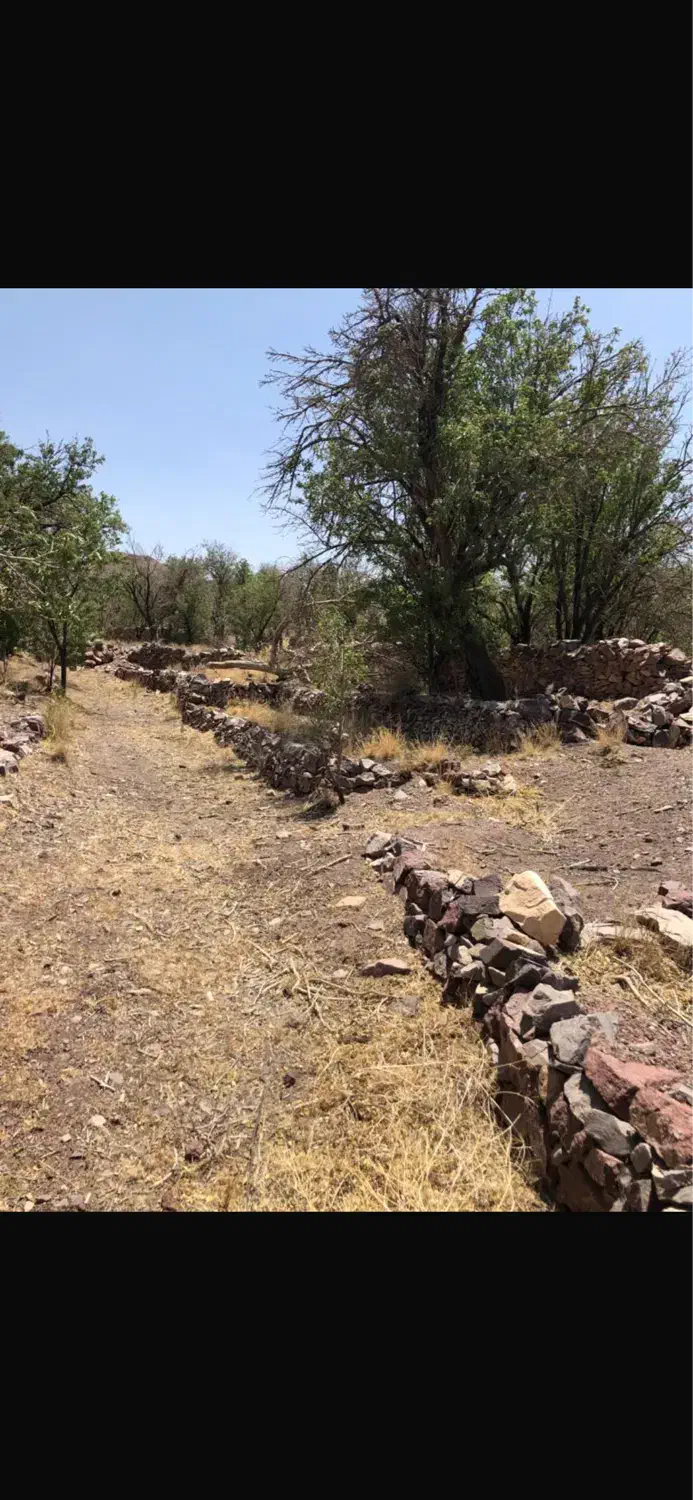 ۶هکتار باغ. سند تک برگ. اکوسیستم بکر و منحصر بفرد.|فروش زمین و ملک کلنگی|نائین, |دیوار