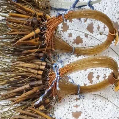 مناسب پرنده|پرنده|یزد, |دیوار