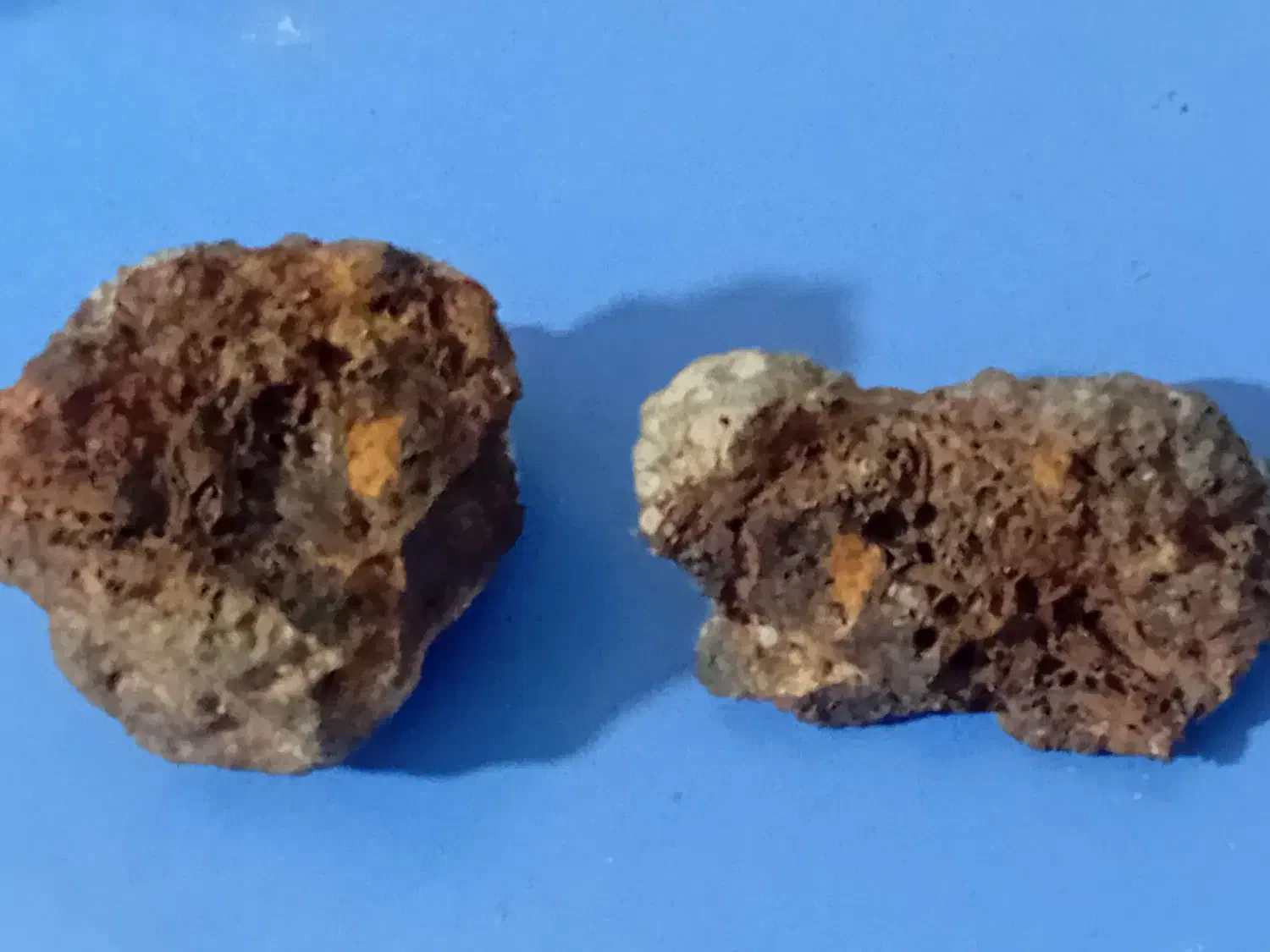 شهاب سنگ آسمانی|کلکسیون اشیاء عتیقه|تاکستان, |دیوار