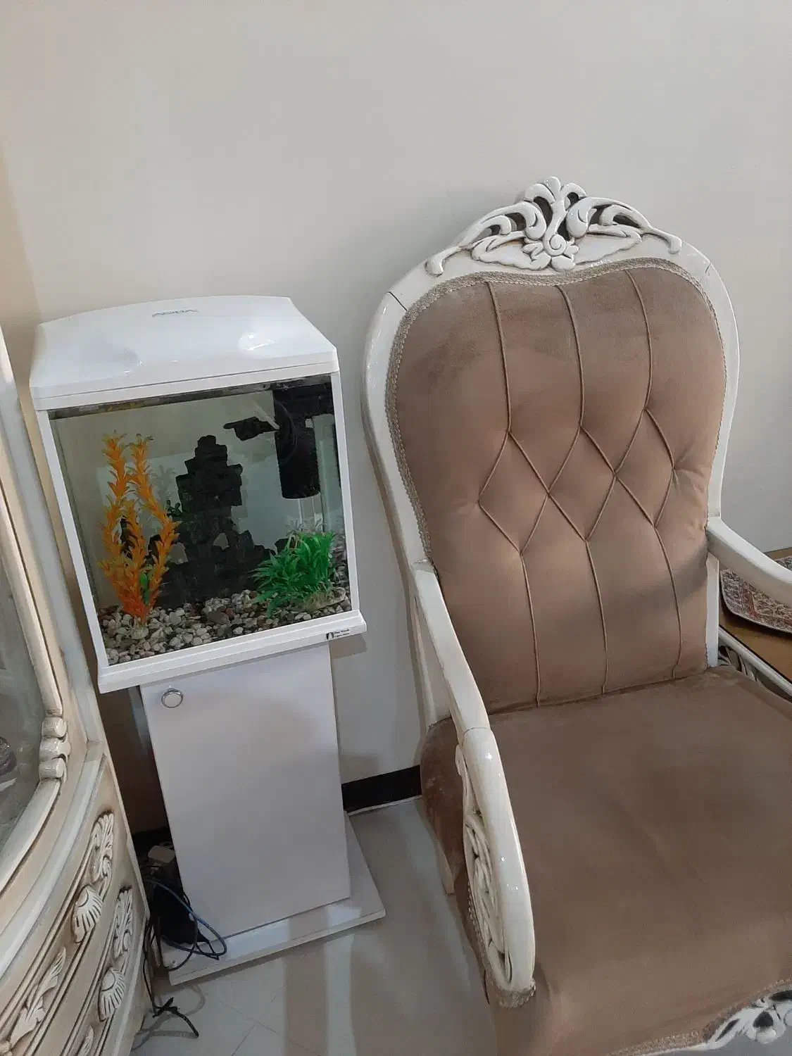 آکواریوم شیک و جم و جور|ماهی|تهران, گلستان (شهرک راه آهن)|دیوار