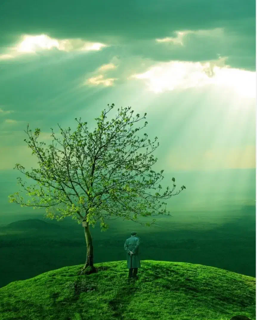 آرامش|فعالیت داوطلبانه|قم, سعادتی|دیوار