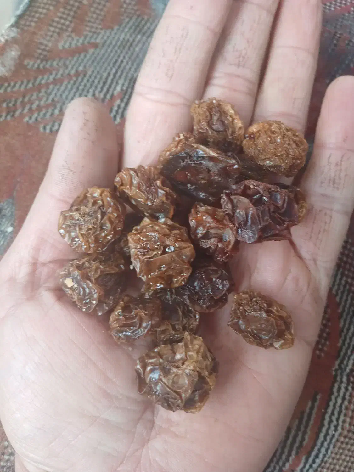 آلوچه|خوردنی و آشامیدنی|مرند, |دیوار