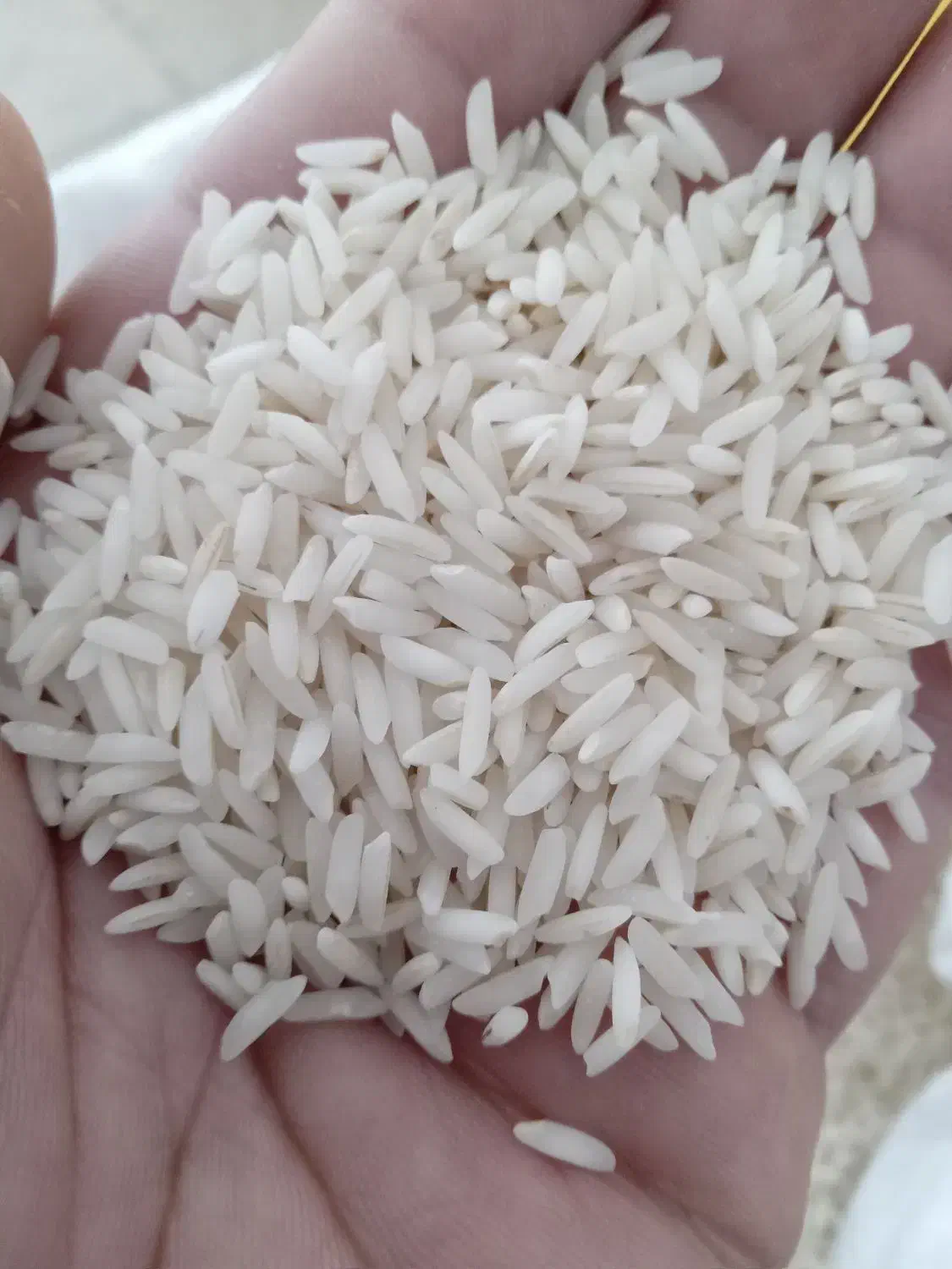 برنج طارم هاشمی|خوردنی و آشامیدنی|سمنان, |دیوار