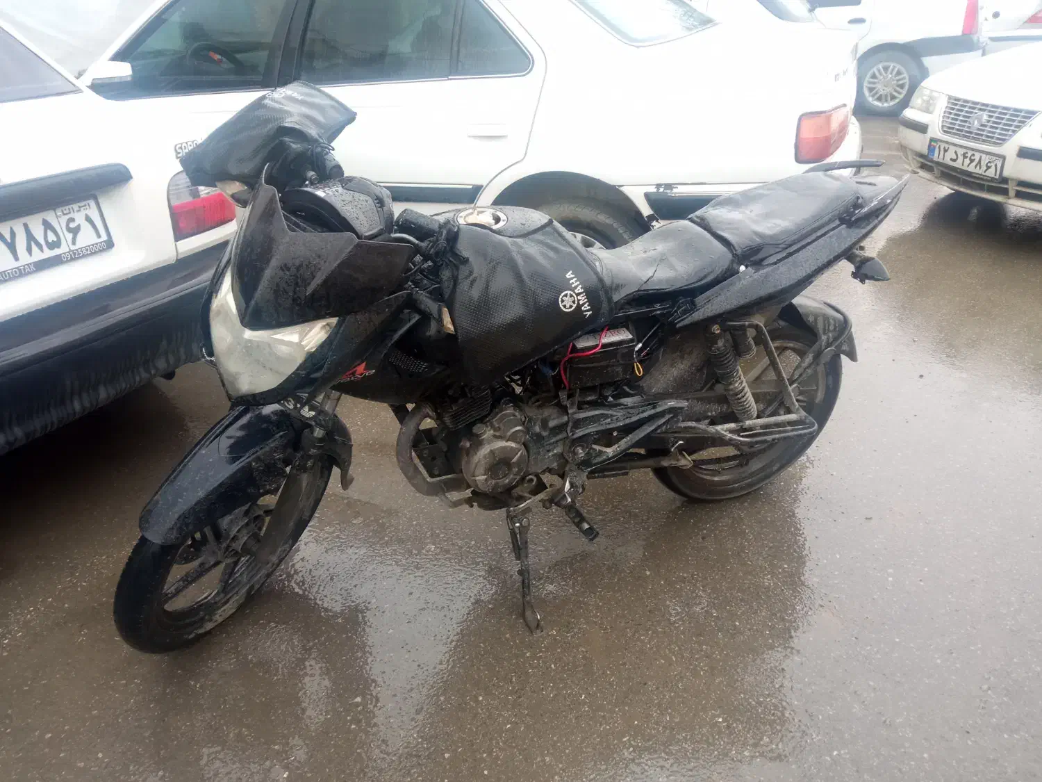 پلاس 135|موتورسیکلت|بانه, |دیوار