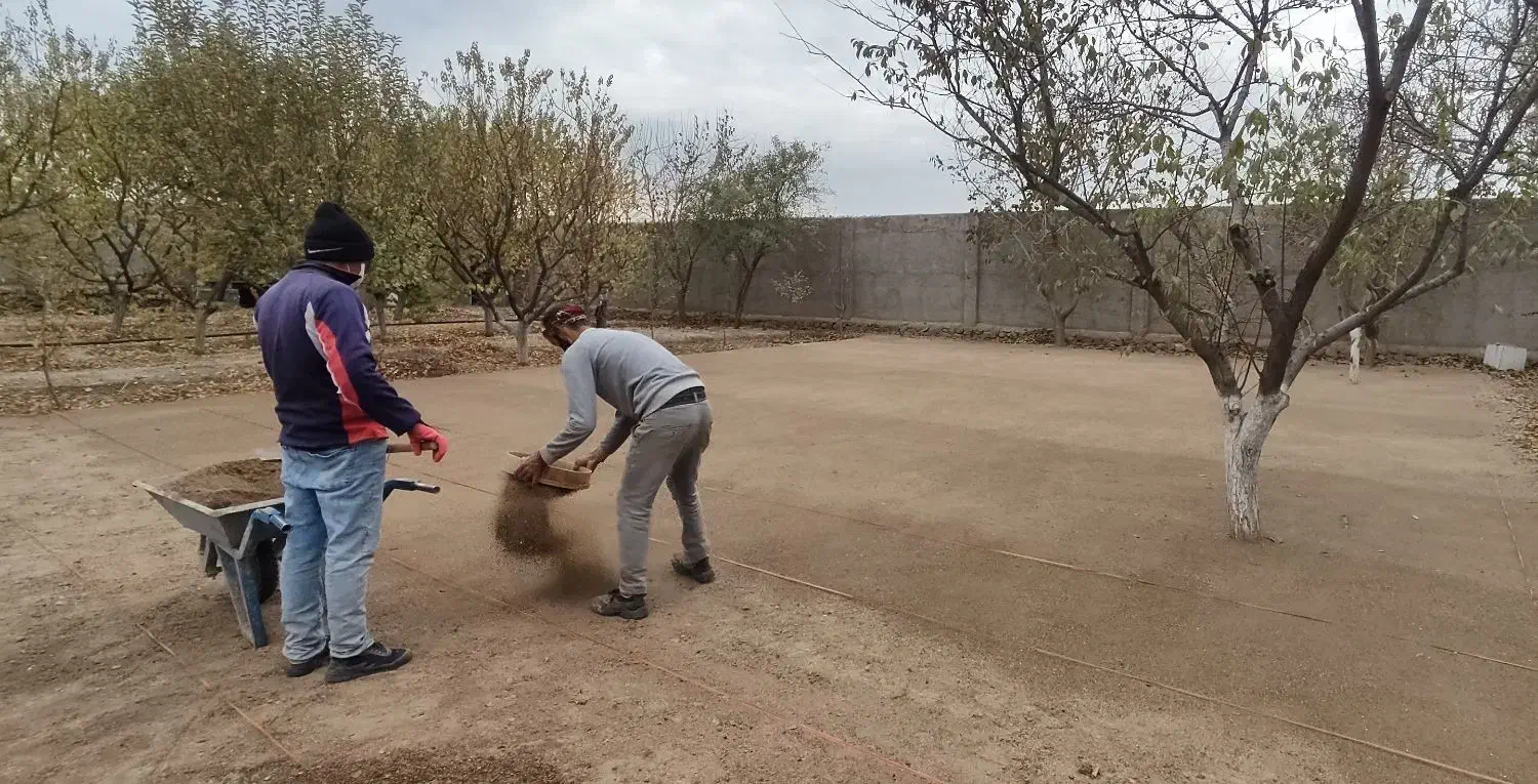 اجرای کلیه خدمات گیاهپزشکی و باغبانی|خدمات باغبانی و درختکاری|مشهد, شهرک امام هادی (شهرک غرب)|دیوار