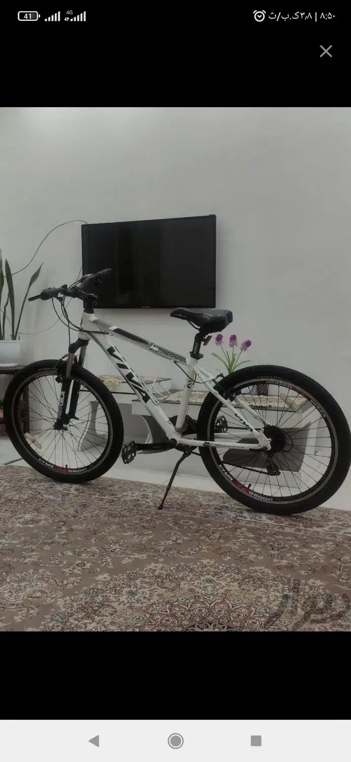 دوچرخه ویوا ۲۶ اصل آلومینویمی|دوچرخه، اسکیت، اسکوتر|یاسوج, |دیوار