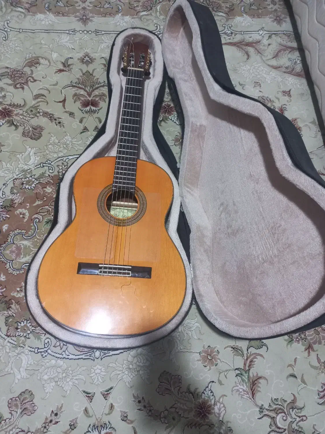 گیتارپالادوcg80|گیتار، بیس، امپلیفایر|پردیس, فاز ۴|دیوار