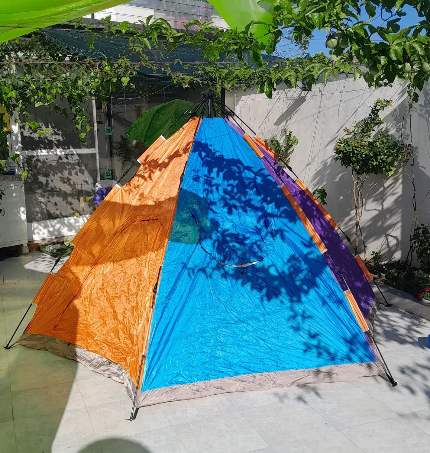 چادر کمپینگ هشت نفره اتوماتیک|کوهنوردی و کمپینگ|ساری, |دیوار