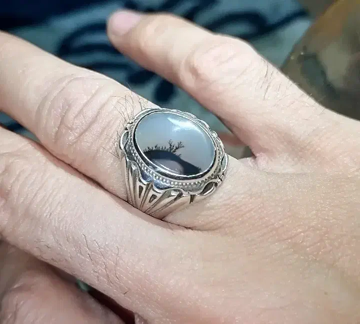 شجر ناب قائنات|جواهرات|قم, نیروگاه|دیوار