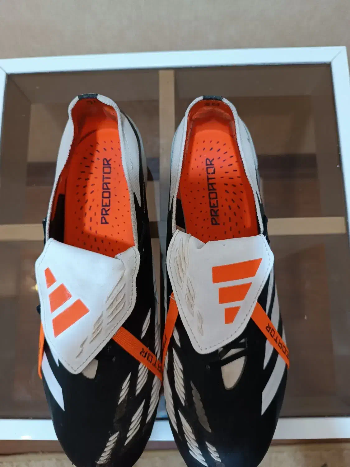 کفش فوتبال Adidas Predator|تجهیزات ورزشی|شیراز, شهرک مفتح|دیوار