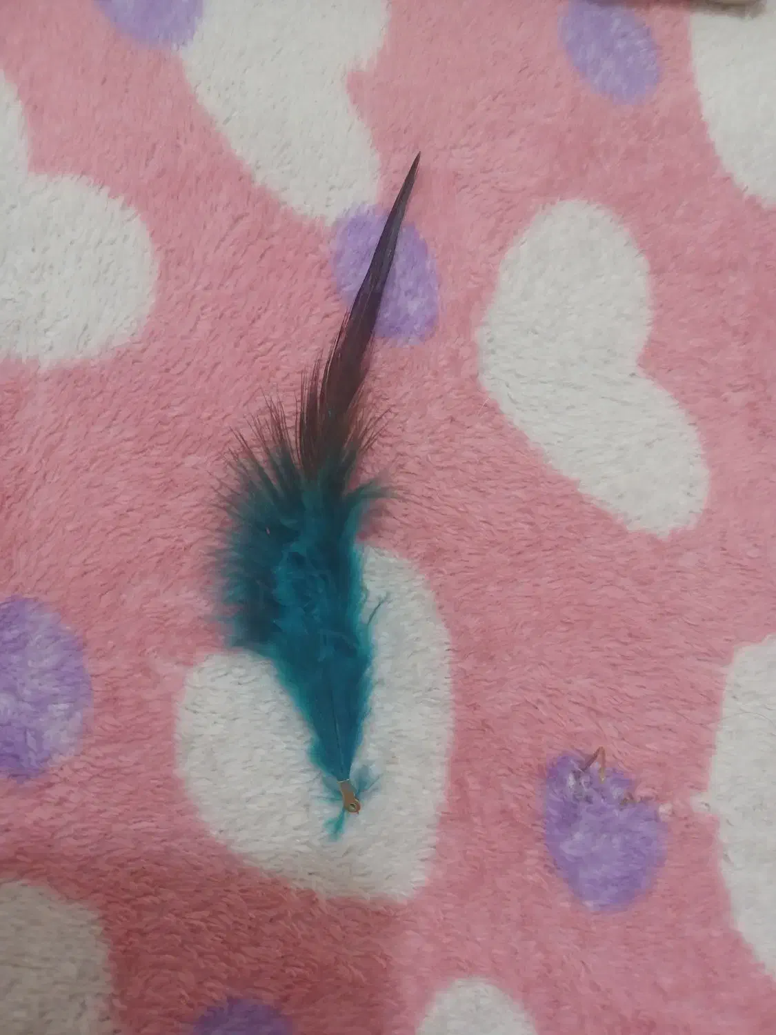 تعدادی پر زینتی|صنایع دستی و سایر لوازم تزئینی|قم, صفاشهر|دیوار