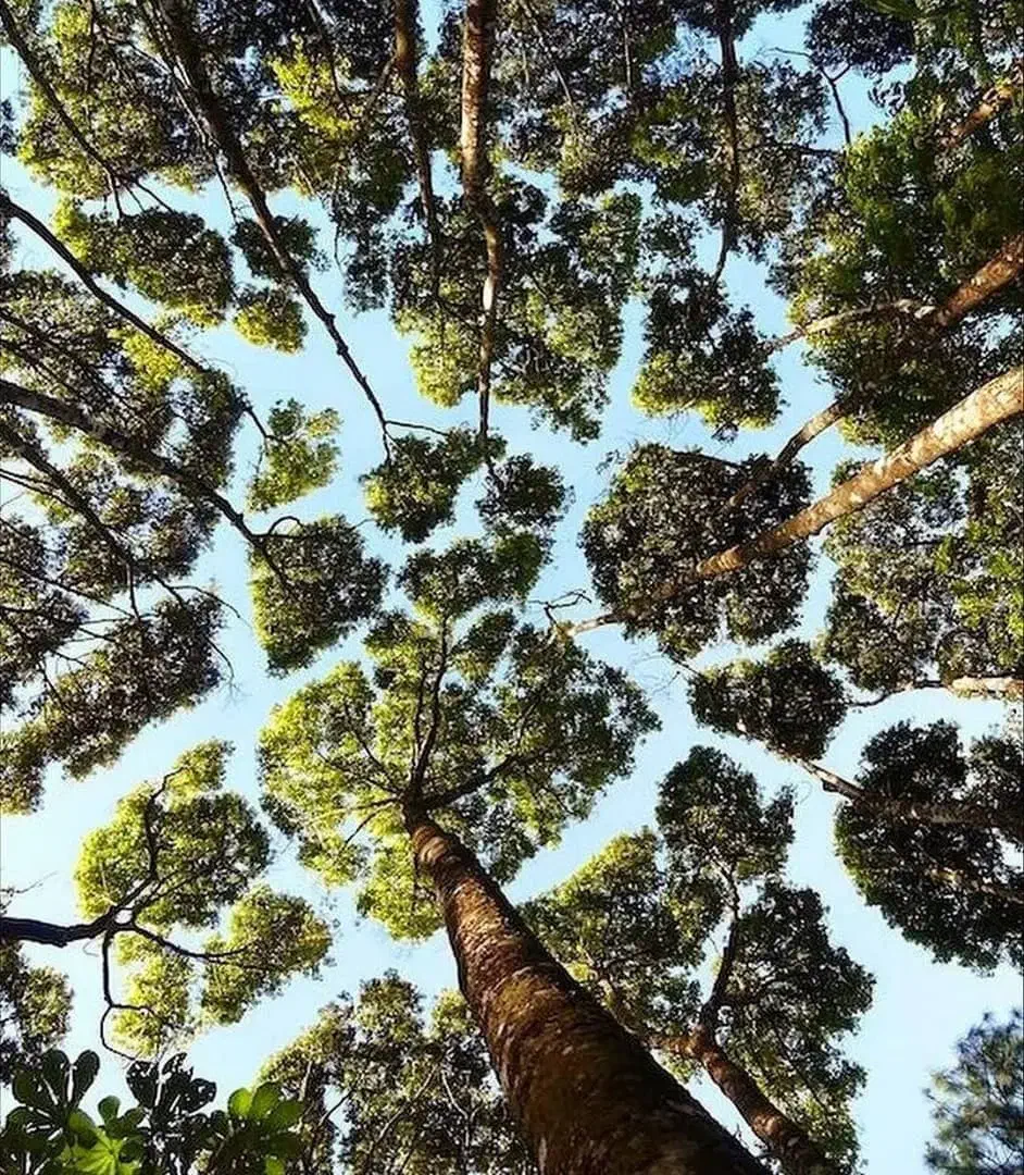 حفارچاه آب|خدمات پیشه و مهارت|اصفهان, محمودآباد|دیوار