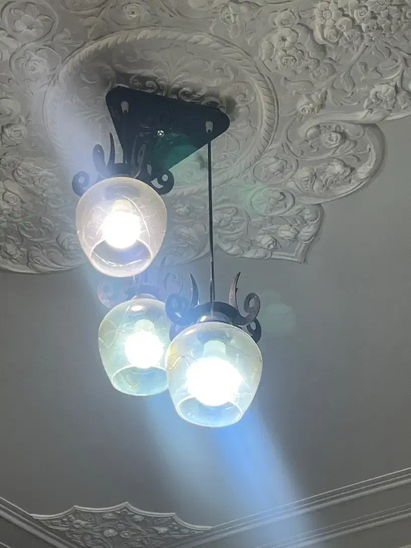 لوستر|لوستر و چراغ آویز|اصفهان, رکن الدوله شرقی|دیوار