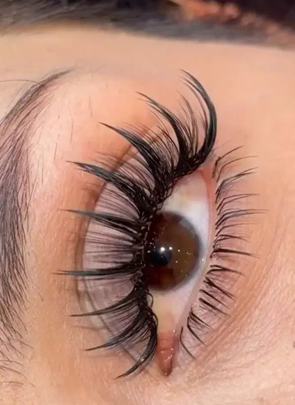 تخفیف ۵۰درصدی آموزش اکستنشن مژه|خدمات آرایشگری و زیبایی|تربتحیدریه, کاشانی|دیوار