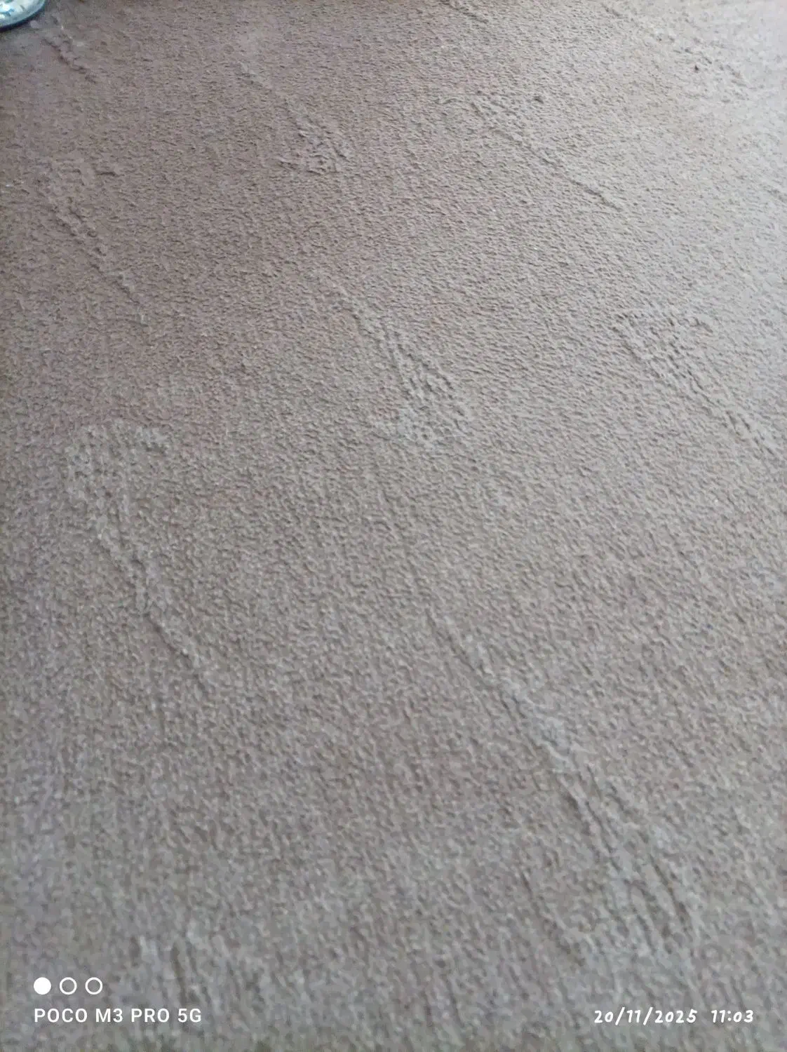 موکت و قالی|فرش|مرودشت, مسکن مهرگان|دیوار