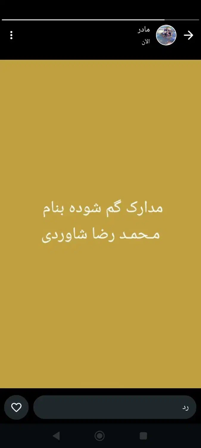 مدارک گم شده|اشیا|شادگان, |دیوار